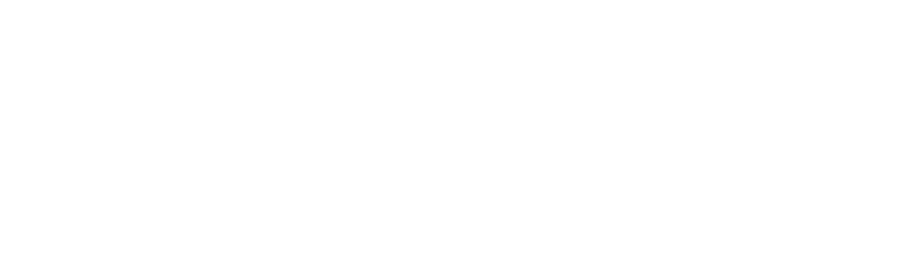 logo bplay
